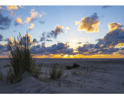 RASCH Fotobehang vlies 364699 Magic Walls strand en zee 371x265 cm Helmgras aan de kust bij zonsondergang