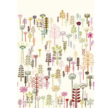 Illustratie van verschillende planten op een heldere achtergrond