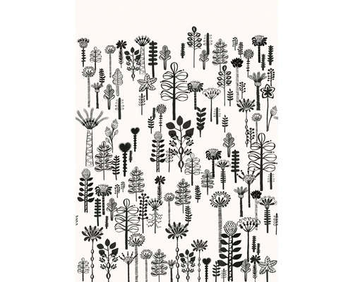 RASCH Fotobehang vlies 557879 Magic Walls kunst 200x280 cm Illustratie van diverse planten