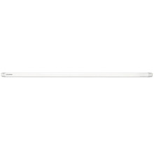 SYLVANIA LED-buis Toledo Avant T8 G13/11W 908 mm daglichtwit