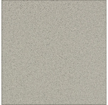 Wand- en vloertegel Gres lichtgrijs 30x30 cm