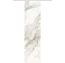 HOME FASHION Paneelgordijn Sumani wit 60x245 cm