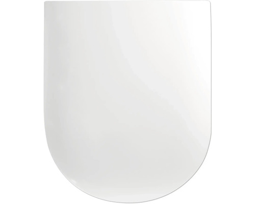 Toiletdeksel van sanitair keramiek