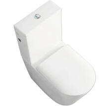JUNGBORN Spoelrandloos staand toilet met reservoir Floriel incl. softclose wc-bril met quick-release-thumb-13