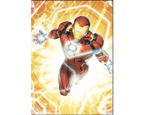 Schilderij canvas Iron Man 50x70 cm