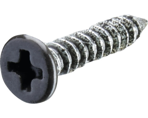 HETTICH Schroef 3,5x16 mm verzonken zwart, 100 stuks Een enkele schroef met kruiskop