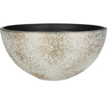 Decoratieve plantenschaal voor binnenshuis