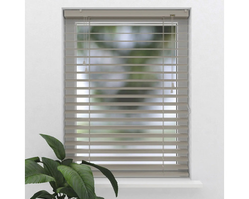 Raam met horizontale jaloezieën voor lichtregulering