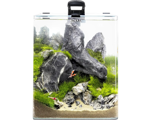 Aquarium met stenen, planten en garnalen