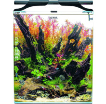 Aquarium met waterplanten en wortelhoutdecoratie