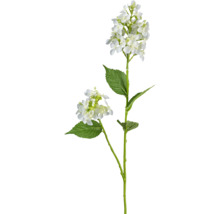 Kunstplant Hortensia wit H 66 cm