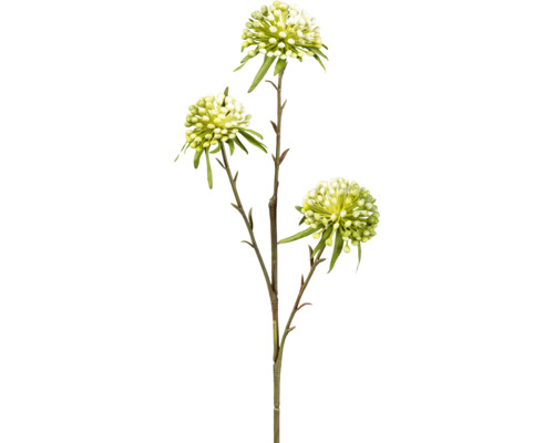 Kunstplant Allium groen/wit H 62 cm
