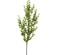 Kunstmatige eucalyptus tak ter decoratie