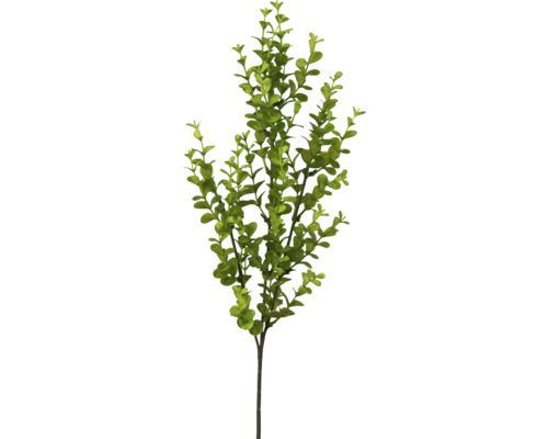 Kunstplant Eucalyptus groen H 62 cm