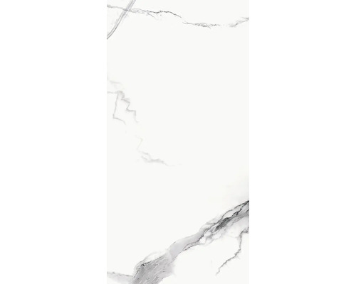 Wand- en vloertegel Statuario Joya wit glanzend 60x119,5 cm gerectificeerd