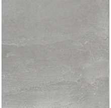 Wand- en vloertegel Meran grijs 59,7x59,7 cm gerectificeerd