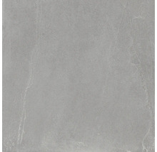 Wand- en vloertegel Meran grijs 59,7x59,7 cm gerectificeerd