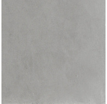 Wand- en vloertegel Meran grijs 59,7x59,7 cm gerectificeerd
