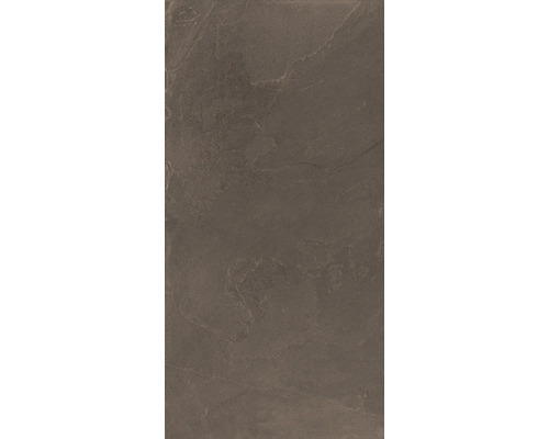 Tegel met leisteenlook