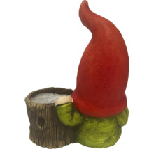 Tuinkabouter met plantenbak van achteren