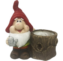 Tuinkabouter met boomstronk plantenbak