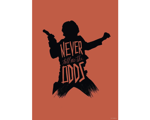 KOMAR Poster Star Wars silhouette quotes Han Solo 50x70 cm