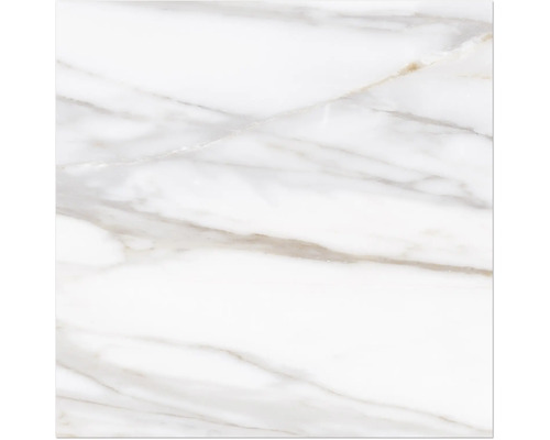 MIRAVA Wand- en vloertegel LUCCA Bianco goud mat 60 x 60 x 0,9 cm gerectificeerd