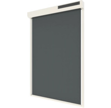 SOLUNA Solar Ritsscreen 260x220 cm op zonne-energie, wit