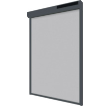Insectenhor met frame