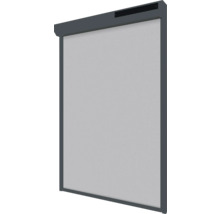 SOLUNA Solar Ritsscreen 260x100 cm op zonne-energie, antraciet