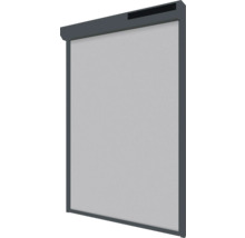 SOLUNA Solar Ritsscreen 260x220 cm op zonne-energie, antraciet