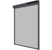 Insectenhor met frame