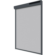 SOLUNA Solar Ritsscreen 300x280 cm op zonne-energie, antraciet