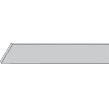 Plank