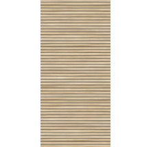 Houten panelen met horizontale oriëntatie voor wand- en plafondbekleding
