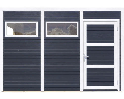 Gevel van een tuinhuis met ramen en een deur