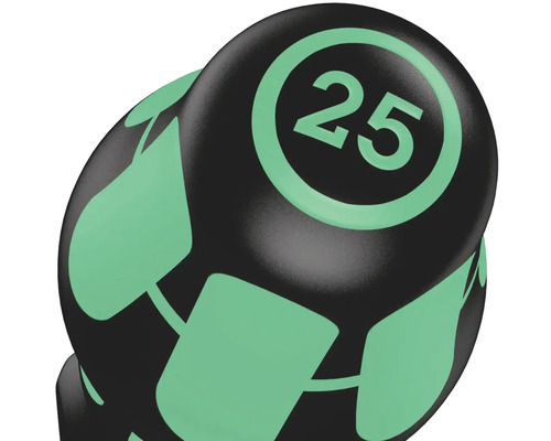 Losse dumbbell met een gewicht van 25 kilogram