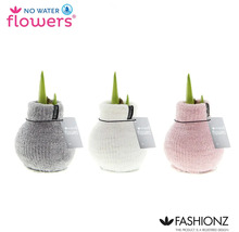 Drie bloembollen in een stoffen omhulsel