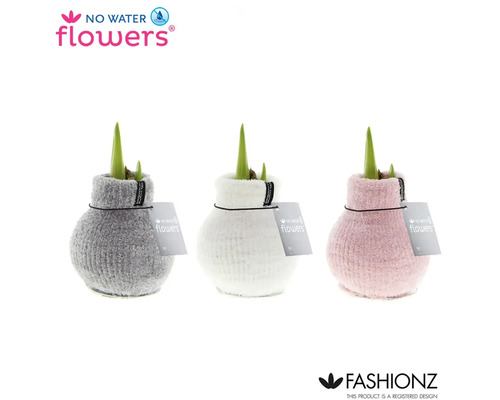 Drie bloembollen in een stoffen omhulsel