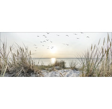 Strandlandschap met duingras, zee en zwerm vogels