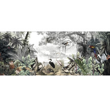 Illustratie van een tropische jungle met verschillende soorten vogels, planten en bomen