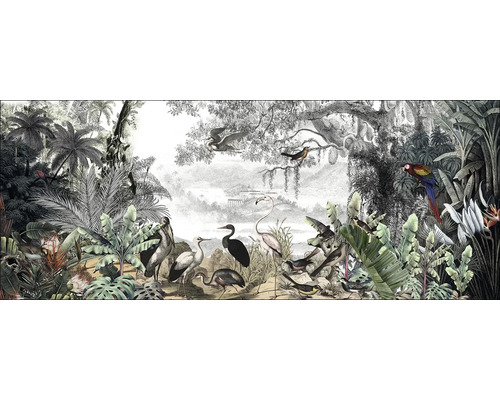 PURE LIVING Schilderij glas Vogels In De Jungle II 80x30 cm Illustratie van een tropische jungle met verschillende soorten vogels, planten en bomen