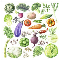 Illustratie van diverse groenten zoals artisjok, boerenkool, broccoli en sla
