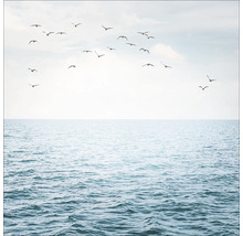 Een zwerm vogels boven de zee