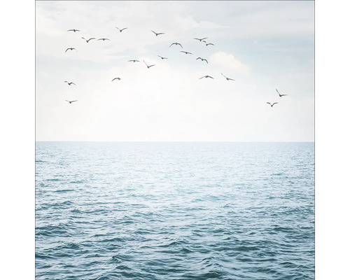 PURE LIVING Schilderij glas Zee Sfeer I 50x50 cm Een zwerm vogels boven de zee