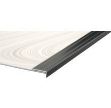 MACLEAN Hoekprofiel Zwart 24,5x10 mm, 1000 mm