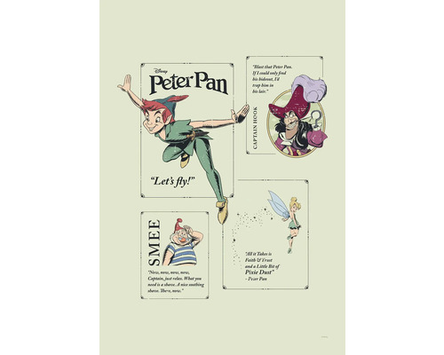 KOMAR Schilderij canvas Peter Pan - Let´s Fly! 40x60 cm