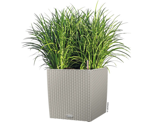 Vierkante plantenbak met groene planten