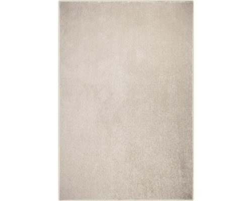 Vloerkleed Louisville grijsbeige 200x300 cm