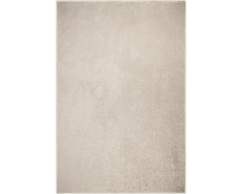Vloerkleed Louisville grijsbeige 300x400 cm